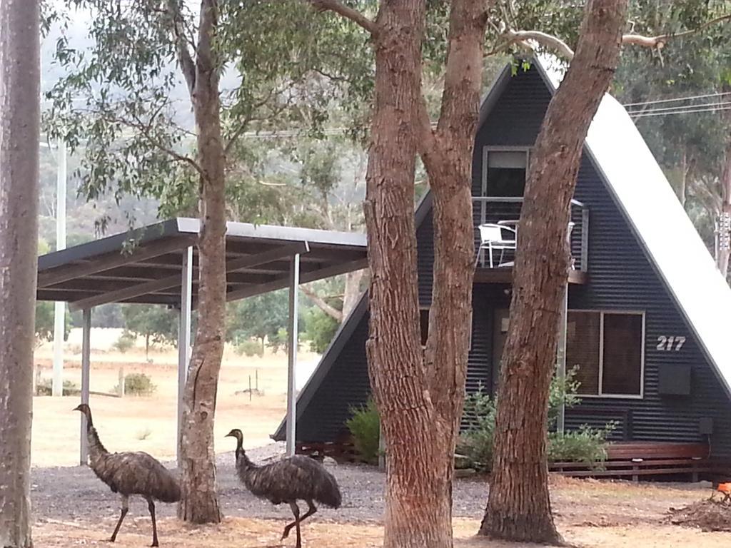 The A-Frame Villa Halls Gap Room photo