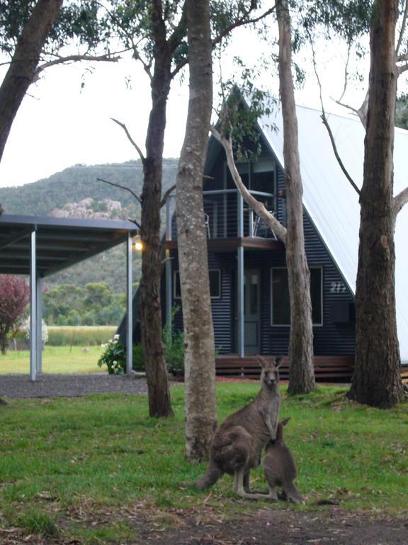 The A-Frame Villa Halls Gap Room photo