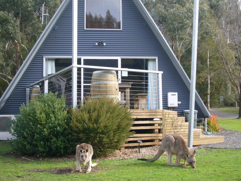 The A-Frame Villa Halls Gap Room photo